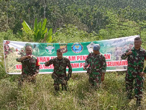 Kodim 0103/Aceh Utara Manfaatkan Lahan Eks Tanaman Ganja Seluas 22 Hektare