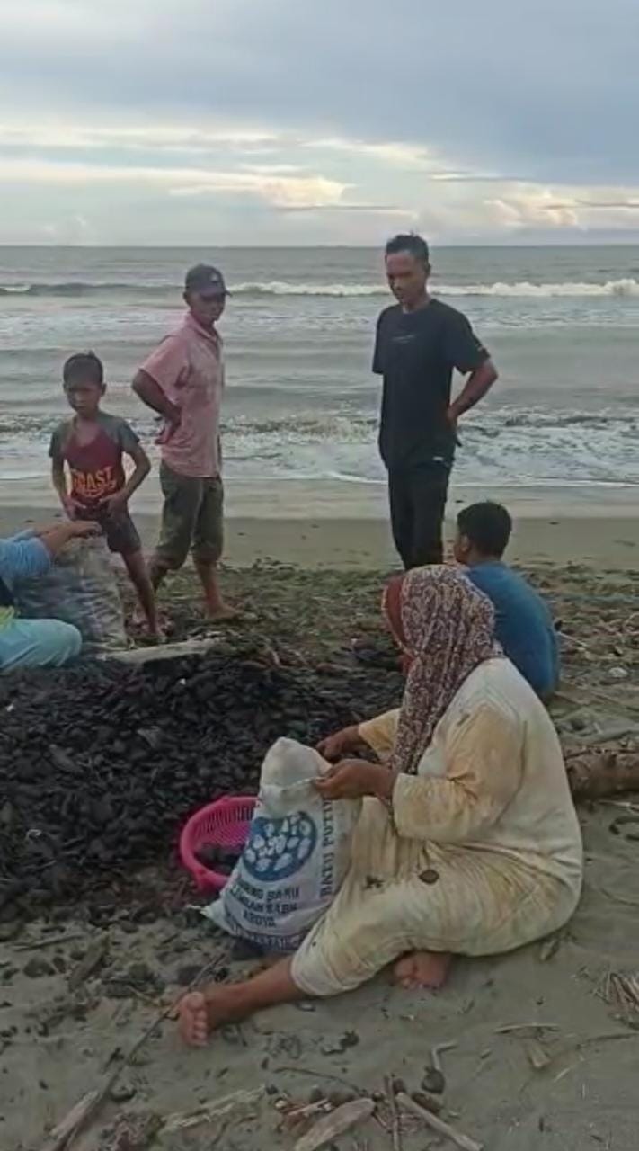 Viral, Video Ibu-ibu di Aceh Barat Sedang Kutip Tumpahan Batu Bara