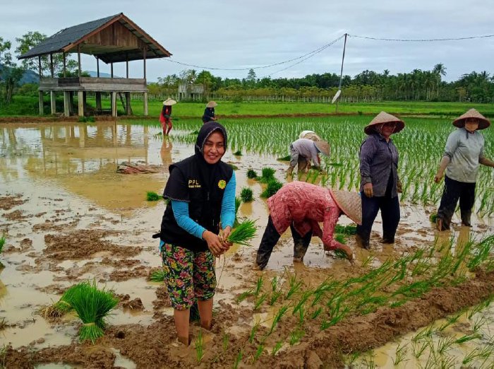 Petani Aceh Besar Diberikan Pengetahuan Iklim, Ini Respon Tokoh Masyarakat