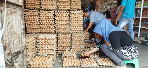 Awal Puasa, Harga Telur Ayam di Banda Aceh Melonjak Naik