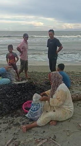 Viral, Video Ibu-ibu di Aceh Barat Sedang Kutip Tumpahan Batu Bara