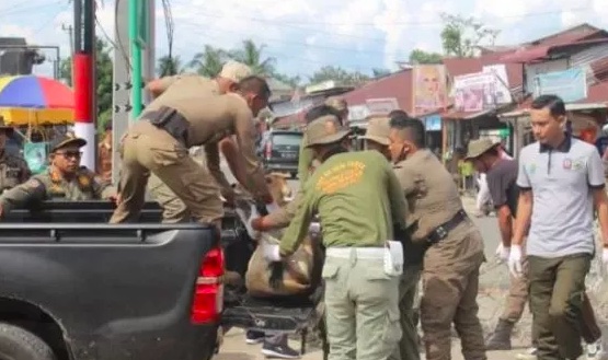 Satpol PP Aceh Jaya Tangkap 59 Ekor Hewan Ternak, Ini Sebabnya