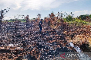 Seluas 1,5 Hektare Lahan di Aceh Barat Terbakar