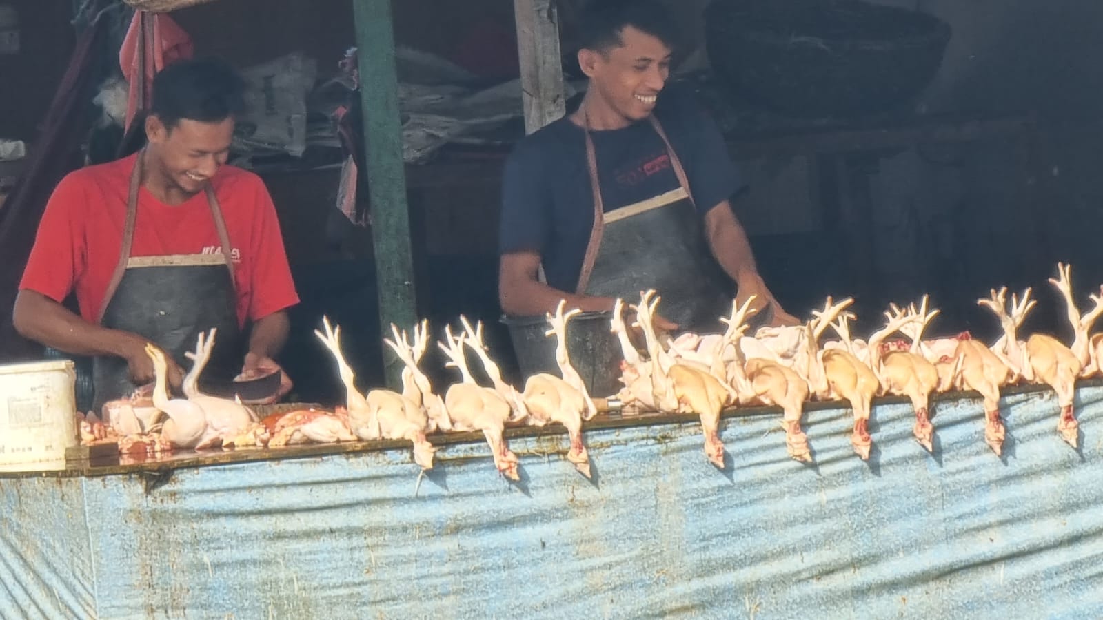 Jelang Idul Adha Harga Ayam Merangkak Naik di Banda Aceh, Satu Ekor Dikisaran Harga 70 Ribu