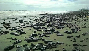 Kepala DLHK Aceh Barat: Belum Ada Perusahaan Tambang Bertanggung Jawab Tumpahan Batu Bara di Laut