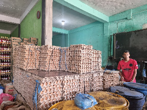 Harga Telur Ayam di Pasar Lambaro Tembus Rp 52.000 Per Papan