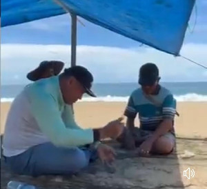 Tanggapi Keluhan Nelayan, Pj Bupati Aceh Barat Daya Kerahkan Ekskapator Bersihkan Bibir Pantai