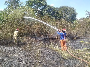 Satu Setengah Hektar Lahan di Seulimum, Aceh Besar Terbakar