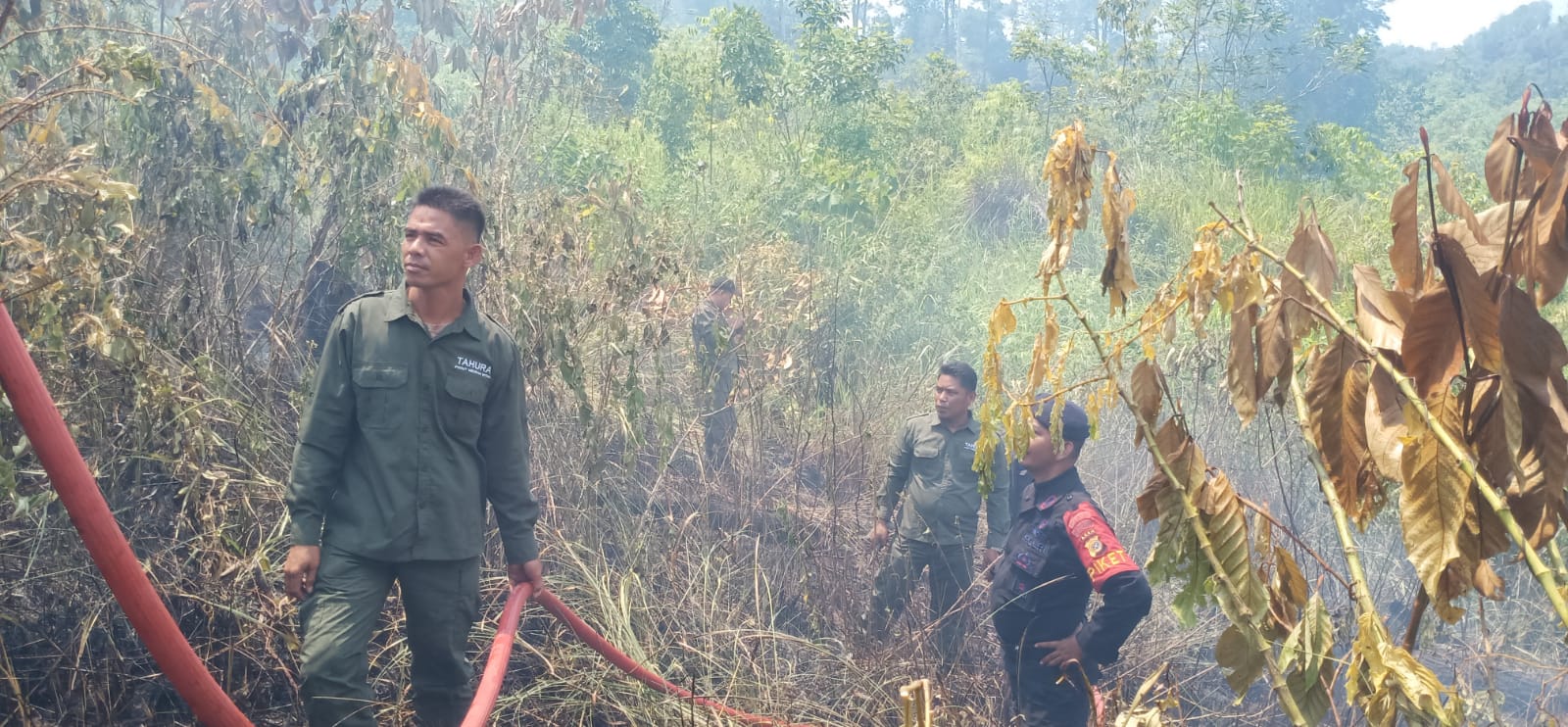 Dua Hektar Lahan di Lembah Seulawah Terbakar, Petugas Berjibaku Padamkan Api