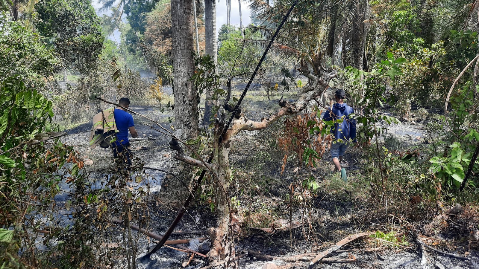 Kebakaran Landa Dua Hektar Lahan di Indrapuri Aceh Besar