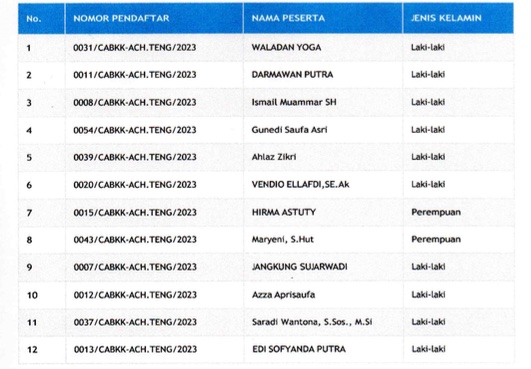 Ini 12 Nama Calon Anggota Panwaslih Aceh Tengah yang Lulus Tes Tulis dan Psikologi