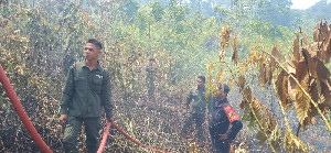 Dua Hektar Lahan di Lembah Seulawah Terbakar, Petugas Berjibaku Padamkan Api