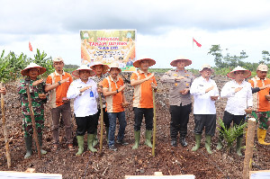 Gerakan Tanam Jagung, Distanbun Aceh Targetkan Produksi Jagung Capai 306 Ribu Ton