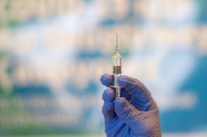 Kemenkes Gencarkan Vaksinasi Hewan Pembawa Rabies