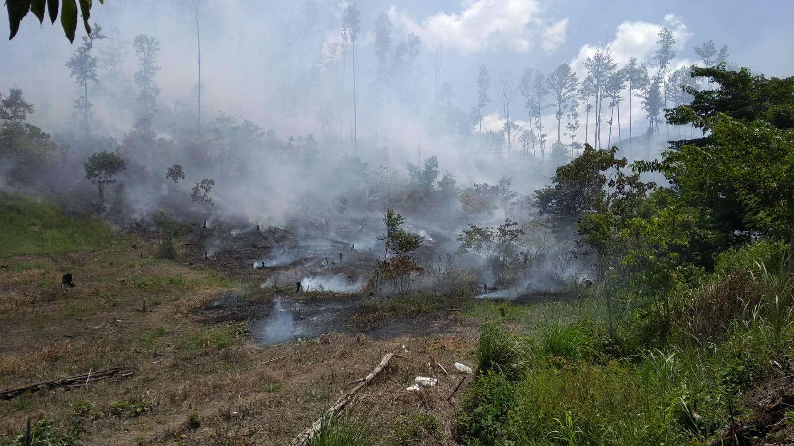 Masyarakat Aceh Besar Diimbau Tidak Buka Lahan dengan Cara Membakar