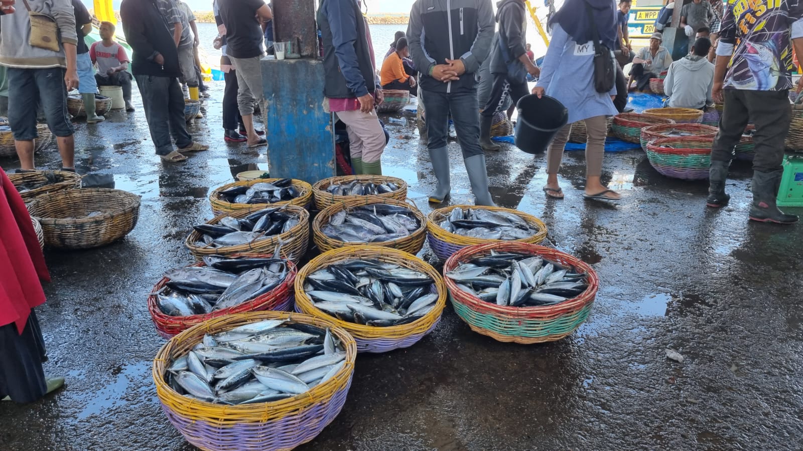Harga Ikan di Banda Aceh Stabil, Daya Beli Menurun