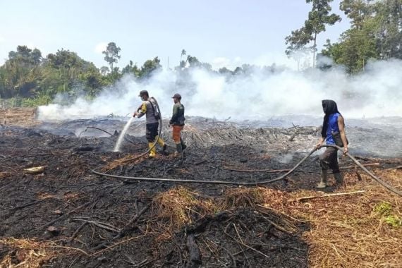 8 Hektare Lahan di Aceh Barat Terbakar, Ini Penjelasan Kepala BPBA Aceh