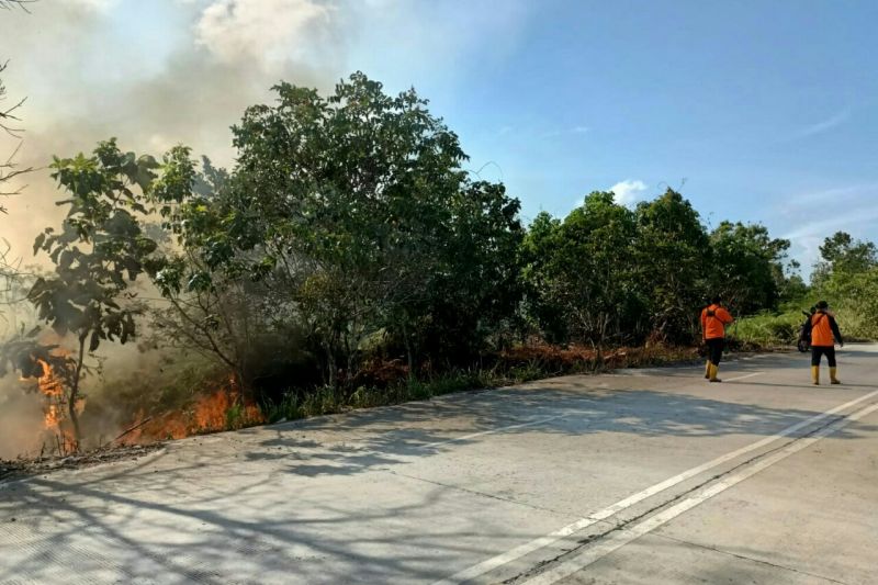 BMKG, Waspada Kebakaran Hutan dan Hujan Lebat di Sejumlah Wilayah Termasuk Aceh