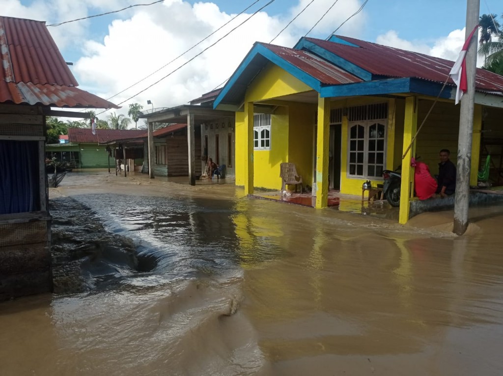 326 Jiwa Mengungsi Akibat Banjir di Aceh Tenggara, BPBA Salurkan Bantuan Darurat