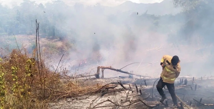 Delapan Hektare Lahan di Aceb Besar Terbakar, Ini Penyebabnya