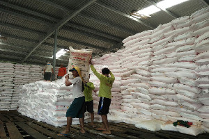 Distributor Nakal, Pupuk Indonesia Bakal Setop Penyaluran Pupuk Subsidi
