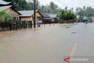 Dipicu Hujan Deras, 4 Desa di Simeulue Terendam Banjir