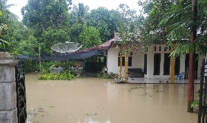Lebih 3.000 Jiwa Terdampak Banjir di Kabupaten Bireuen