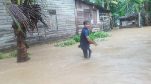 Banjir Melanda 5 Kabupaten di Aceh Akibat Curah Hujan Tinggi