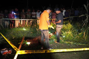 Polisi Usut Kematian Warga Diduga Tersengat Listrik di Kebun Jagung