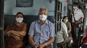 Flu babi menyerang India, 40 Tewas