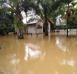 Enam Gampong  di Aceh Barat Terendam Banjir