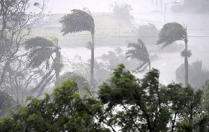 Angin Kencang Landa Bireuen, Sejumlah Rumah dan Pohon Tumbang