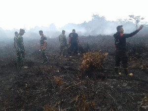 TNI Bantu Padamkan Kebakaran Lahan Gambut