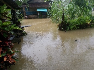 Intensitas Hujan Meningkat, Simeulu Dilanda Banjir