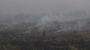 BMKG Pantau Titik Api di Sumatera, Sumatera Selatan Terdapat 583 Titik Panas