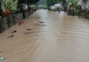 Akibat Peningkatan Intensitas Hujan, Sejumlah Wilayah di Aceh Timur Mengalami Banjir dan Longsor