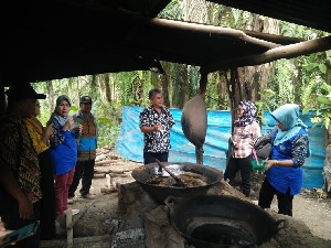 Program Peremajaan Sawit Rakyat Aceh Terus Berkembang