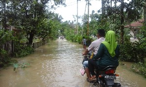 Diguyur Hujan Lebat, Empat Kampung di Tamiang Terendam Banjir