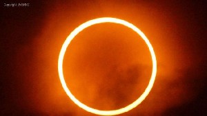 Peneliti Ingatkan Bahaya Melihat Gerhana Matahari Cincin