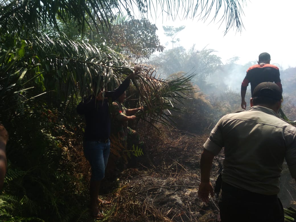 1 Hektar Lahan Terbakar di Tanoh Mayang Aceh Jaya