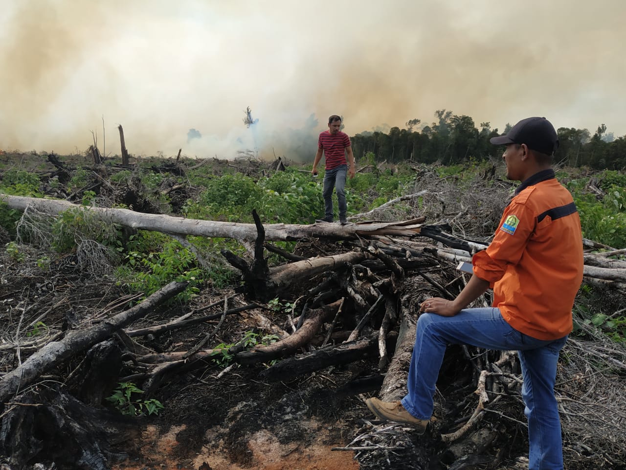 Dua Hektar Lahan Gambut Kembali Terbakar di Aceh Jaya