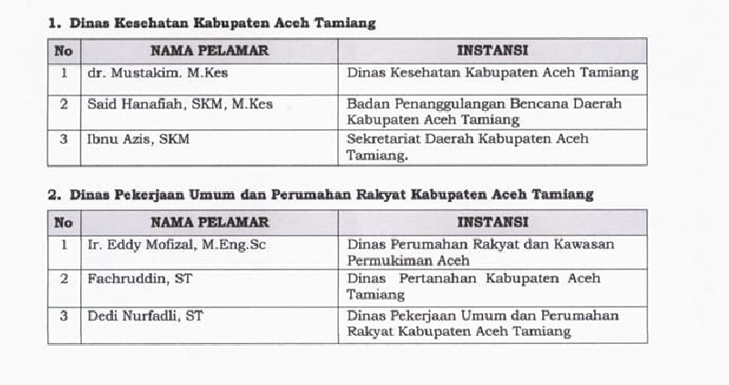 Hasil Seleksi JPT Dinkes dan PUPR Aceh Tamiang, Ini Daftar Namanya