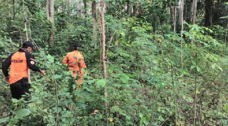 Aipda Afrizal Hilang di Hutan, Begini Kronologinya Hingga Ditemukan