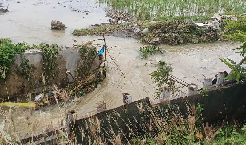 Pemkab Bireuen Didesak Perbaiki Tanggul Jebol di Geulanggang Gampong