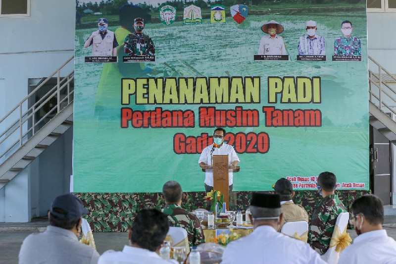 Pemerintah Aceh Perkuat Ketahanan Pangan di Masa Pandemi Covid-19