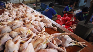 Harga Ayam Broiler Naik Drastis di Kota Banda Aceh Seusai Hari Raya Idul Fitri