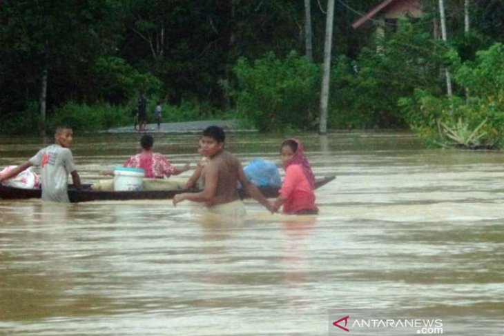 Akibat Hujan Lebat, Ribun Rumah di Aceh Barat Terendam Banjir
