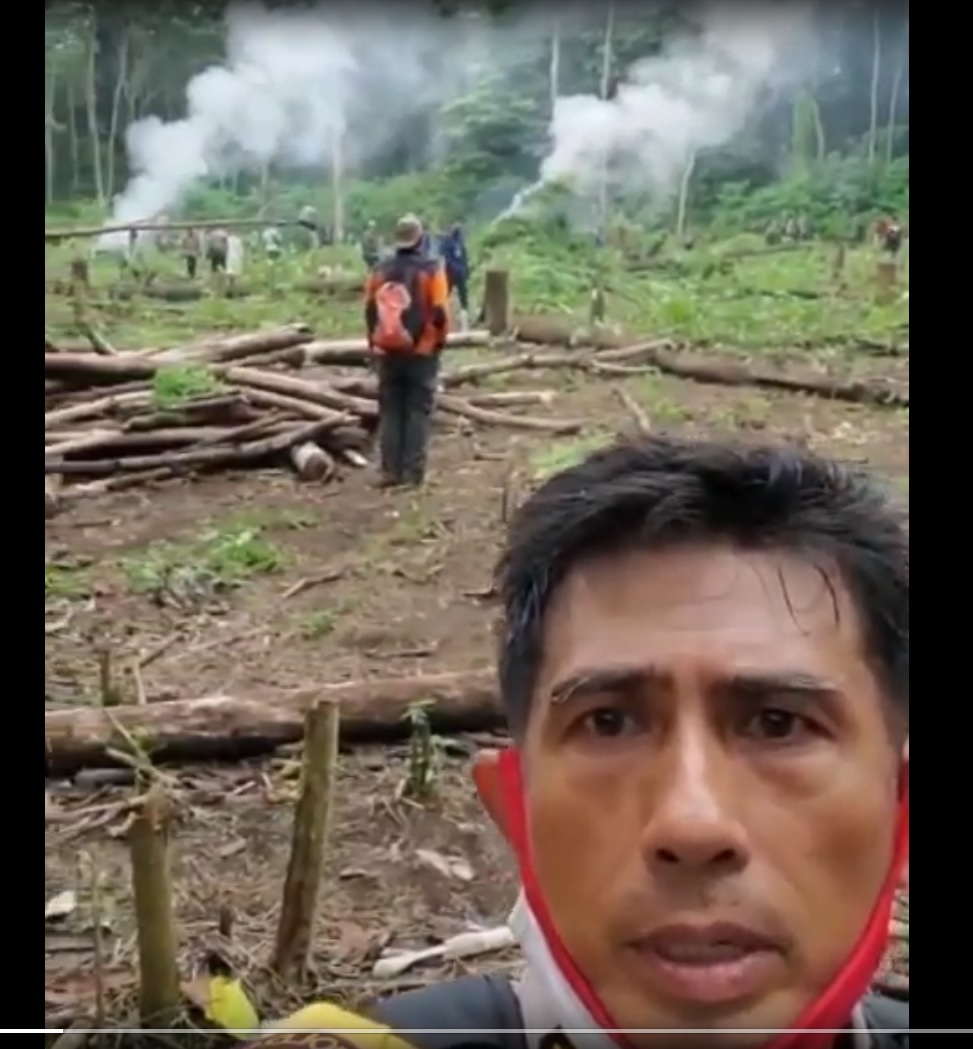 Kapolda Aceh Musnahkan 10 Hektar Ladang Ganja di Lamteuba