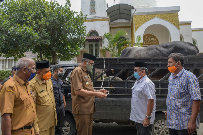 Plt Gubernur Aceh Serahkan Sapi Kurban Bantuan Presiden