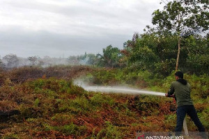 Lahan Gambut di Aceh Barat Terbakar, Totalnya Enam Hektare